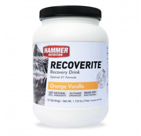 HAMMER NUTRITION - RECOVERITE 16 SERVING - ORANGE VANILLE